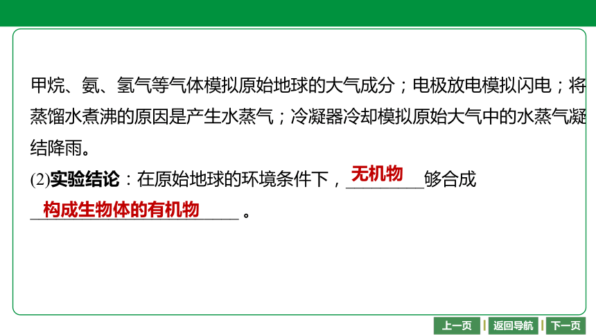 人教版2021年中考一轮复习生物第七单元 第三章 生命起源和生物进化 课件（65张PPT）