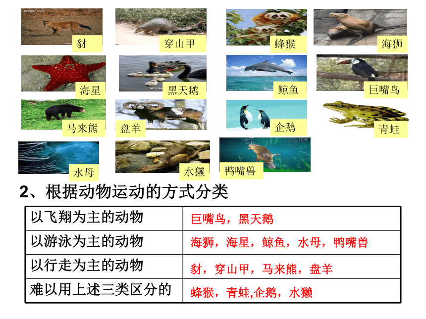 2.3 分类-动植物的分类(课件 22张PPT）