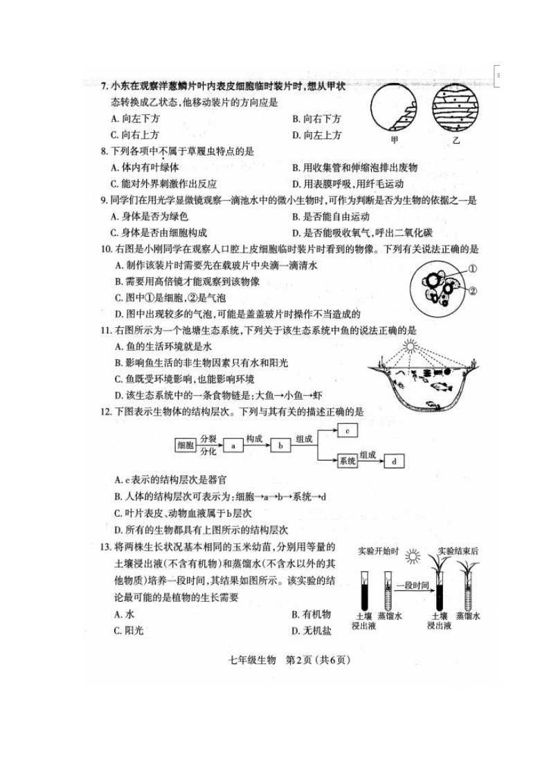 山西省太原市2020-2021学年第一学期七年级期末考试生物试题（扫描版，有答案）