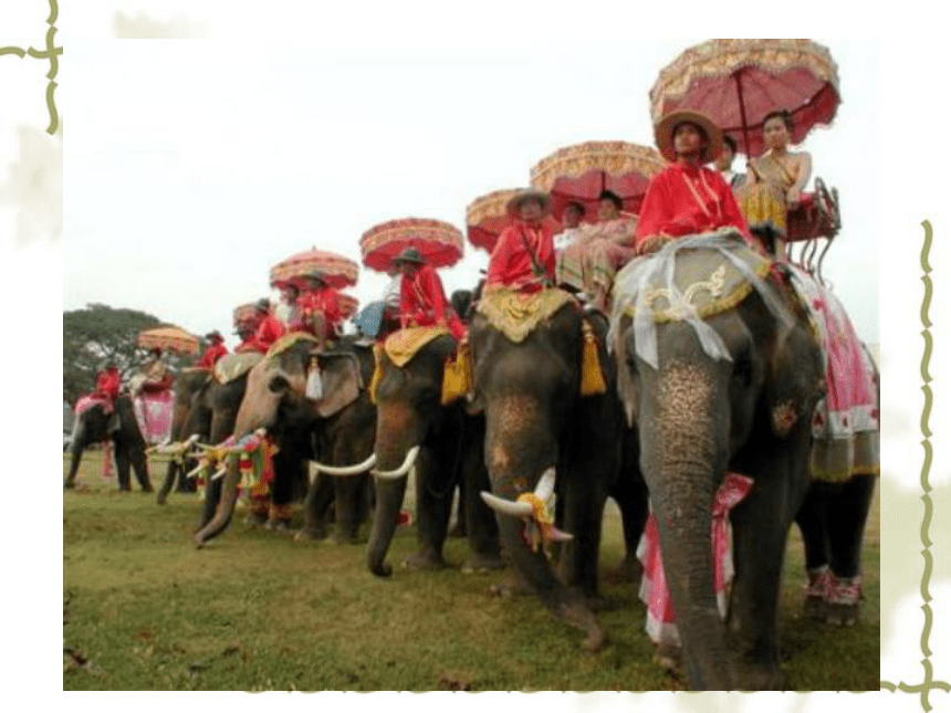 《曼谷的小象》课件