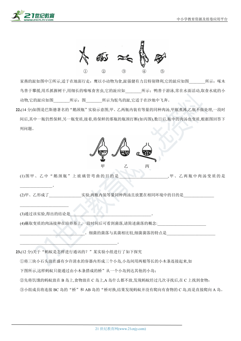 期末基础模拟卷(一) -2020-2021学年八年级（山西太原）生物上册期末复习测试卷（含答案）