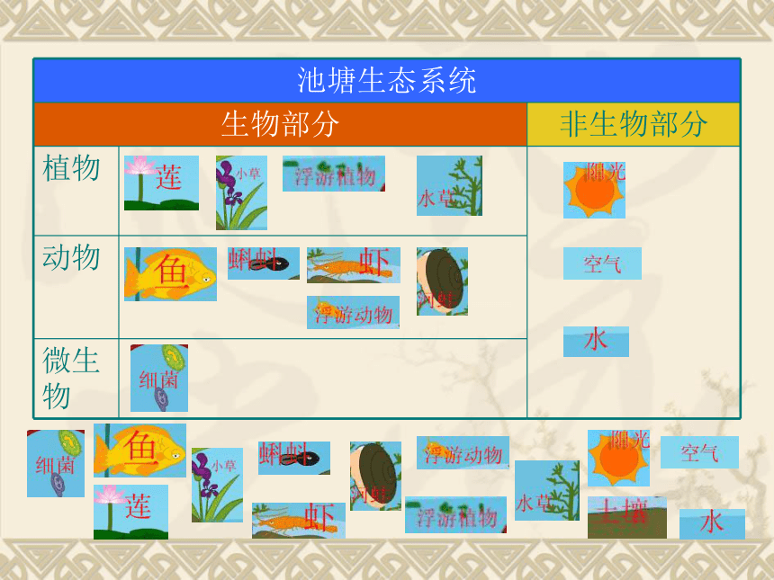 多种多样的生态系统