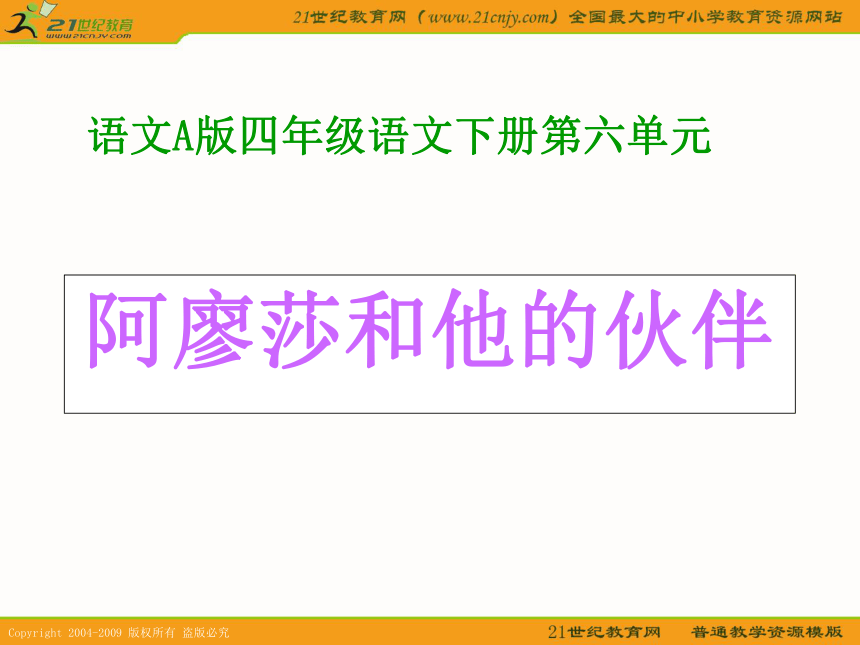 四年级语文下册课件 阿廖莎和他的伙伴（语文a版）