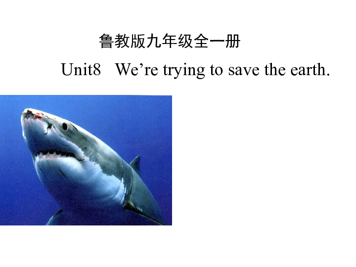 Unit 8   We’re trying to save the earth!Section A 3a-b课件22张