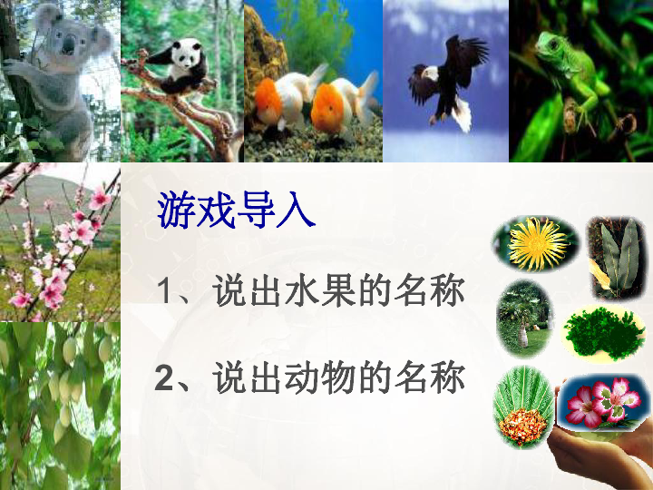 苏科版八下生物 26.2 保护生物多样性 课件(16张PPT)