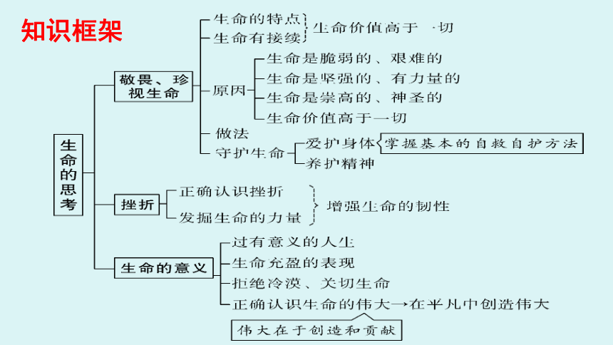 第四单元 生命的思考 期末复习课件（含思维导图）（共29张PPT，WPS打开）