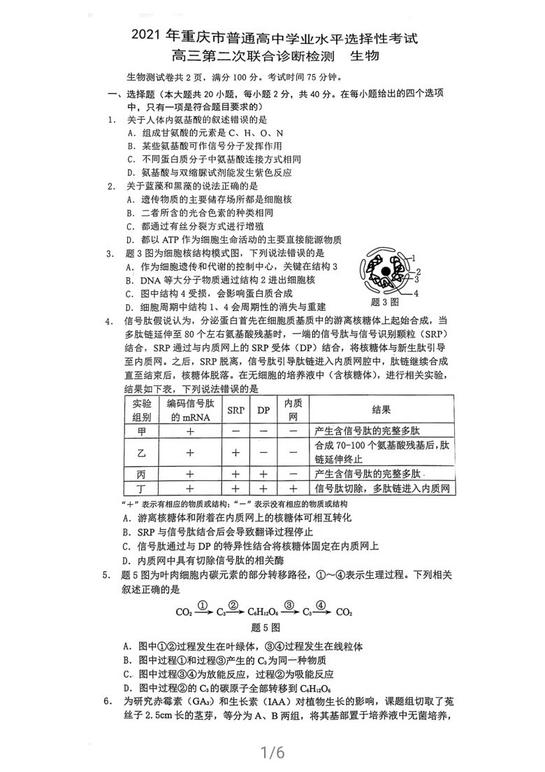2021年重庆市普通高中学业水平选择性考试高三第二次联合诊断检测生物试卷    含答案 PDF