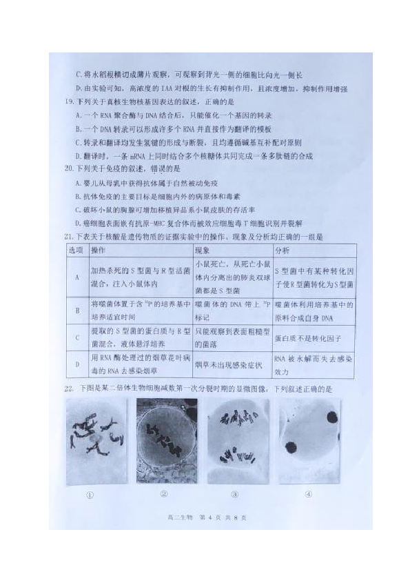 浙江省湖州市2019-2020学年高二下学期期末调研测试生物试题 图片版含答案