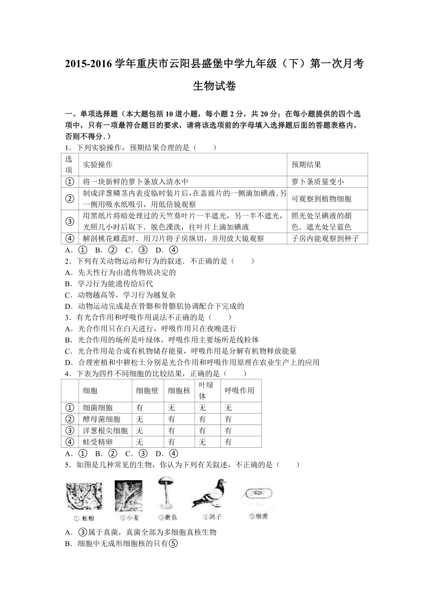 重庆市云阳县盛堡中学2016届九年级（下）第一次月考生物试卷（解析版）