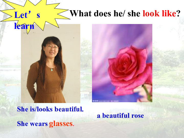 Unit 3 Body Parts and Feelings Lesson 18 We All Look Different!（21张PPT）