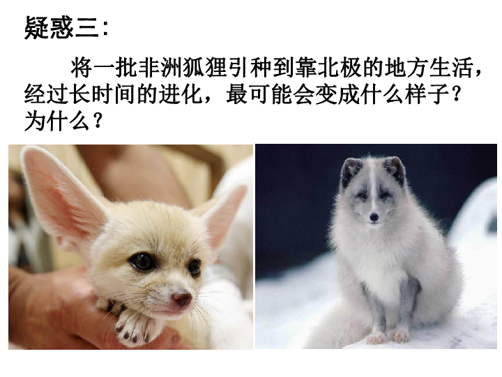 高中生物北师大版必修三第一章 生物界是一个相对稳定的生命系统教学课件 (共31张PPT)