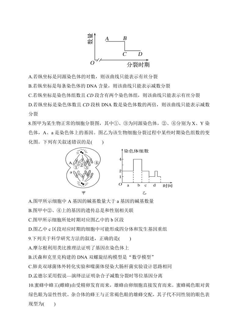 内蒙古集宁高中2021届高三上学期期中考试生物试题  含答案