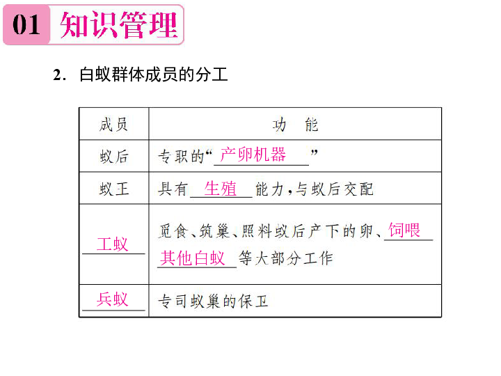 人教版八年级生物上册：5.2.3《社会行为》课件(作业课件，23张ppt）