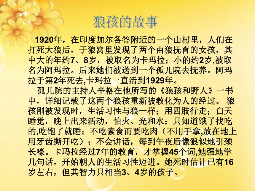 北师大版道德与法治七年级上册-5.1了解社会   课件29张