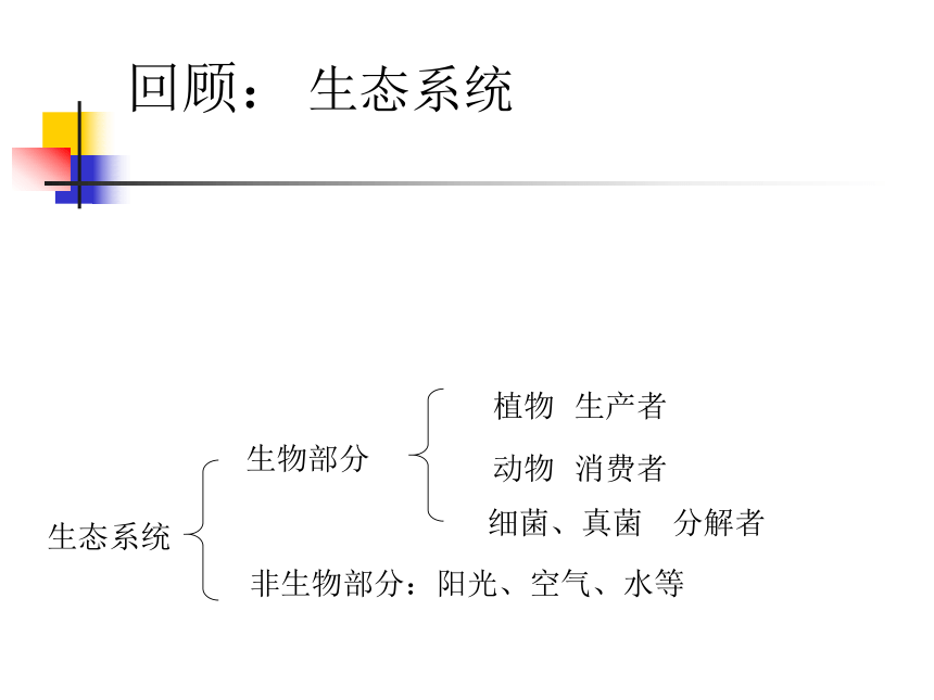 第二章第五节多种多样的生态系统