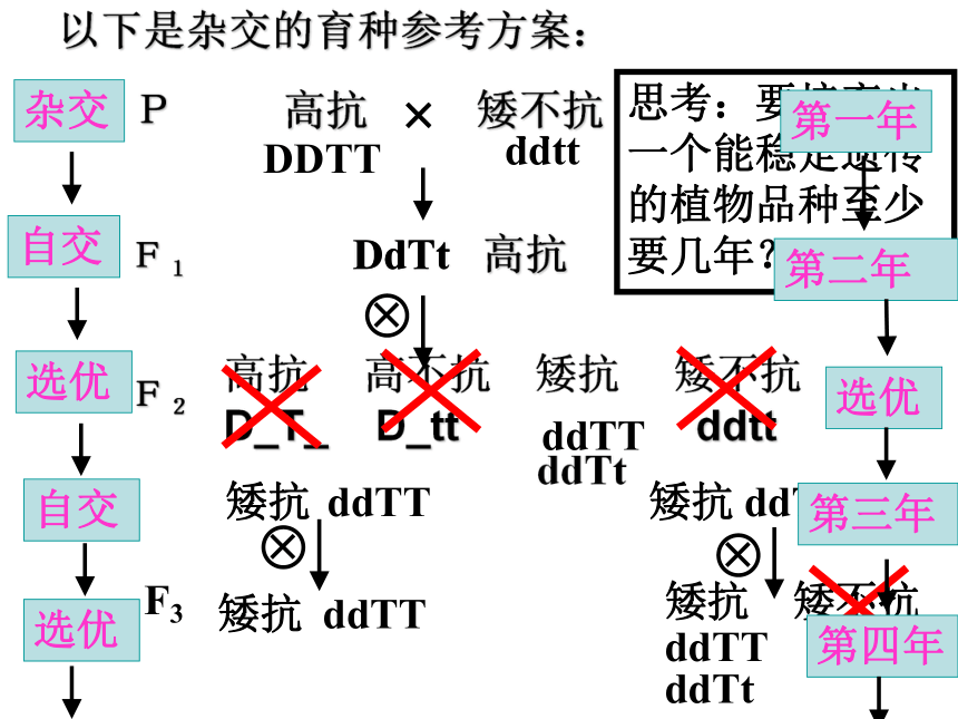 高中生物人教版必修2第六章第1节生物杂交育种与诱变育种 课件 (37张)