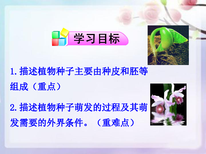 植物种子的萌发课件 （29张PPT）