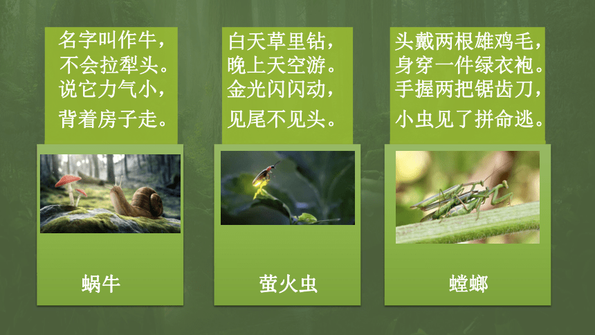 课件预览