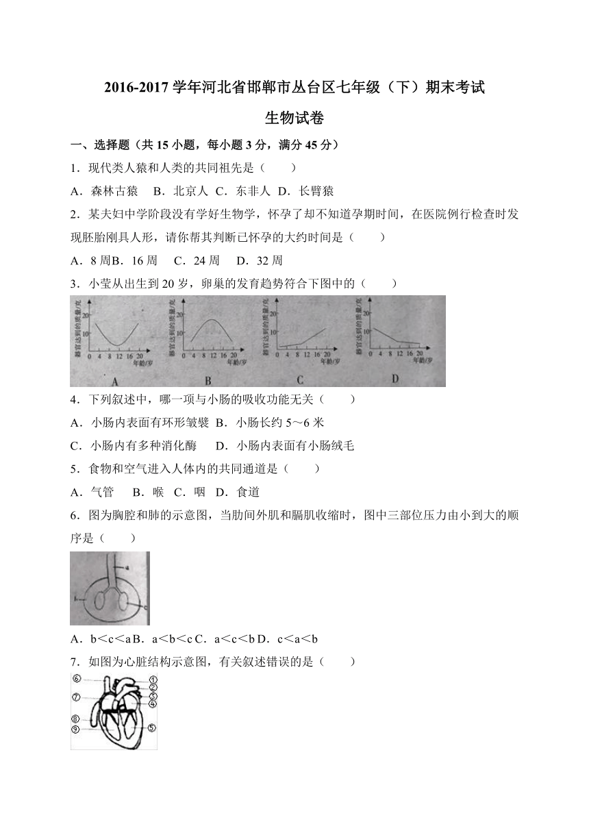 河北省邯郸市丛台区2016-2017学年七年级下学期期末考试生物试题（WORD版）