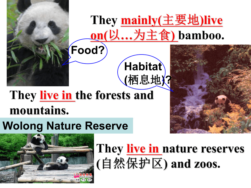 八年级上>Module 9 Animals in danger>Unit 2 The government is working hard to save the panda