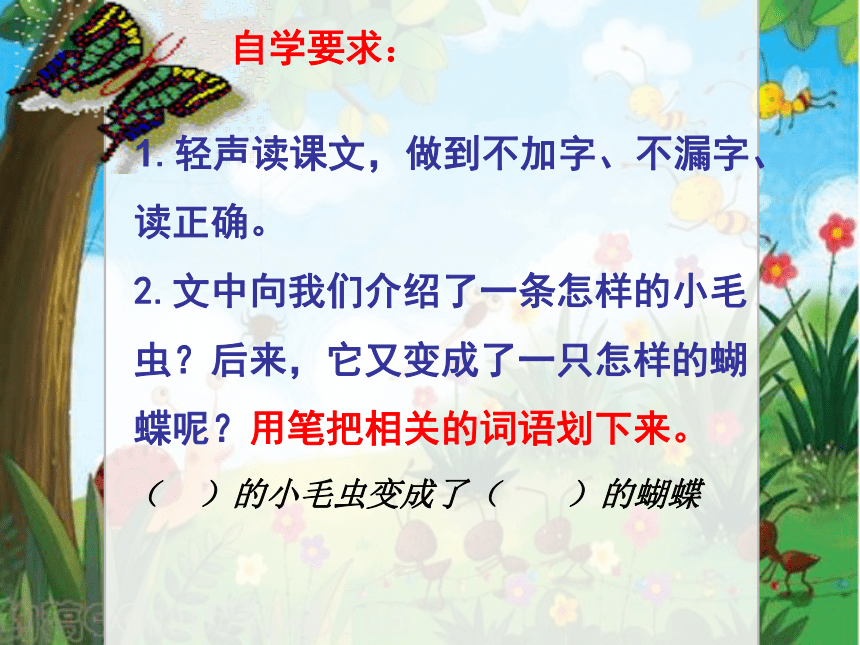 语文五年级下新教版（汉语）16《小毛虫》课件（29张）