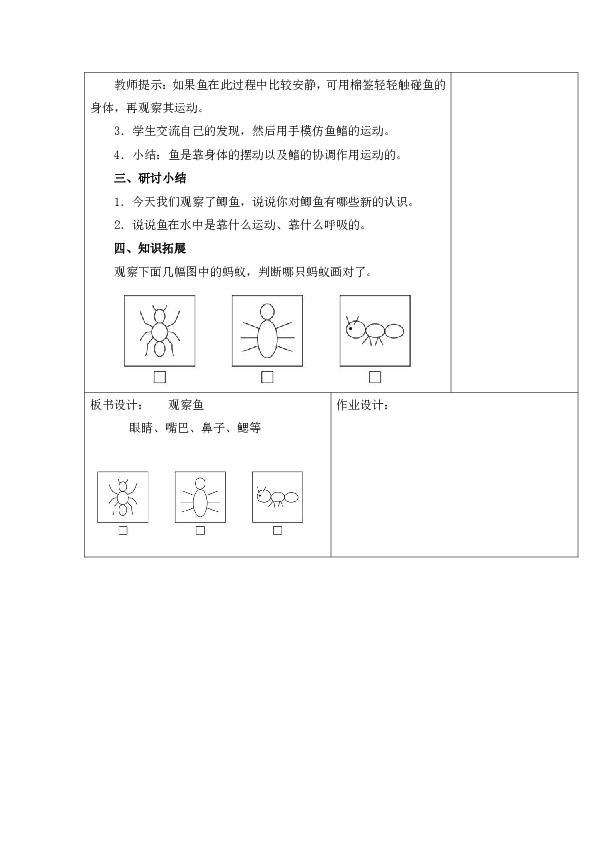 2.5《观察鱼》 教案
