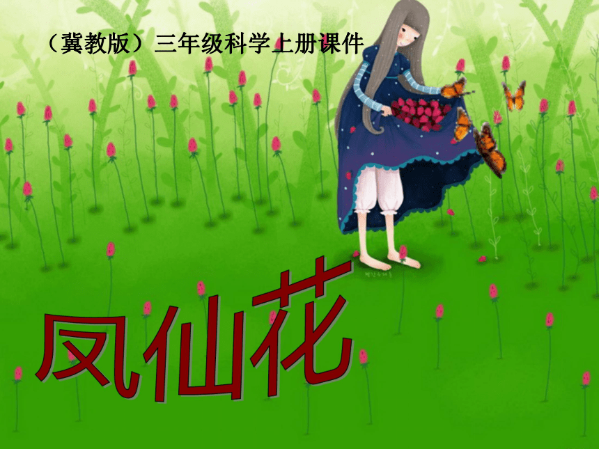 2016秋冀教版科学三上第5课《凤仙花》ppt课件