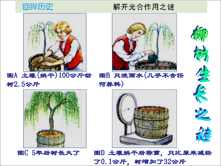 人教版七年级上册生物  3.5.1 光合作用吸收二氧化碳释放氧气 课件(16张PPT)