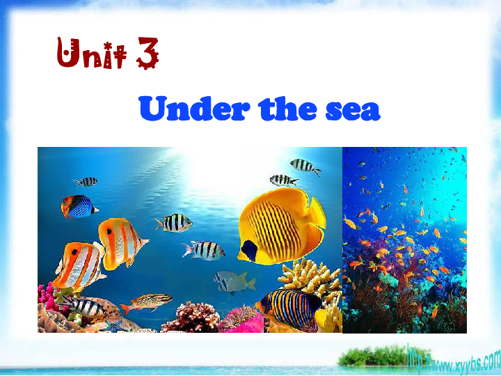 人教版选修7Unit 3 Under the sea Language points 课件（共33张）