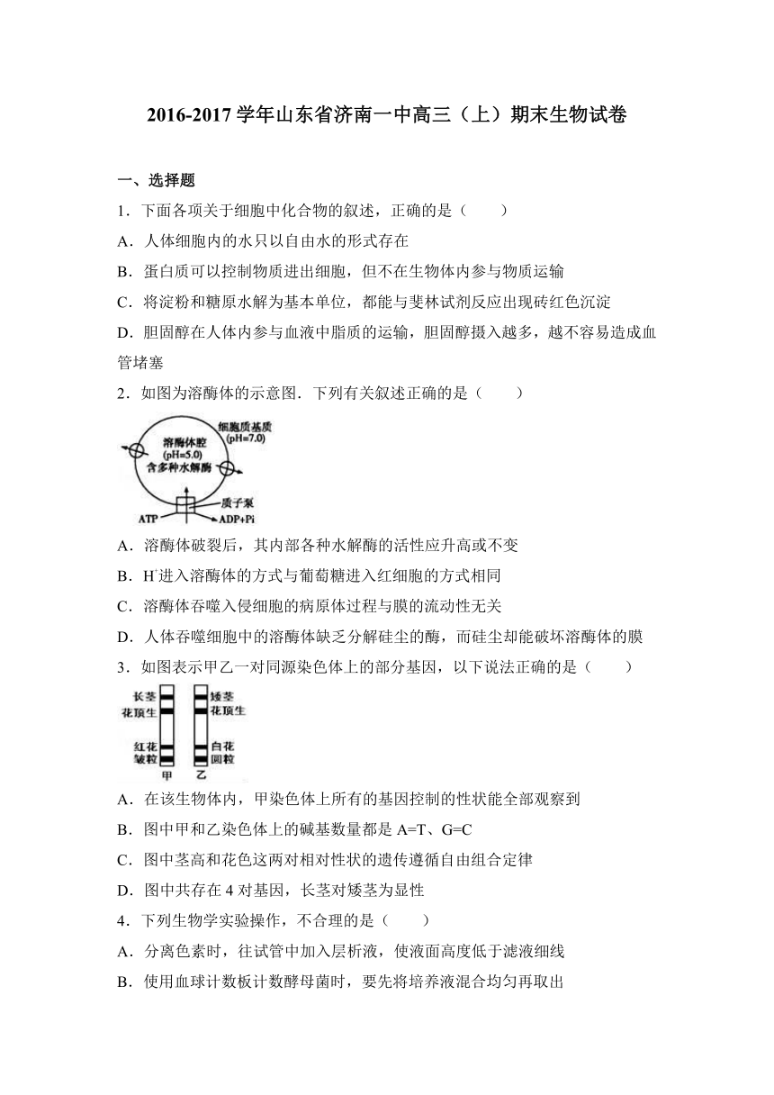 山东省济南一中2017届高三（上）期末生物试卷（解析版）