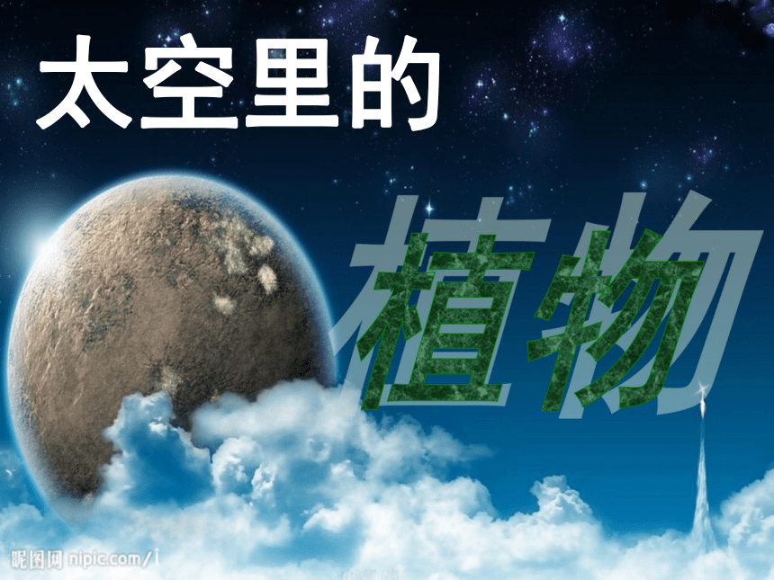 美术一年级下人教版－第11课《太空里的植物》 课件3