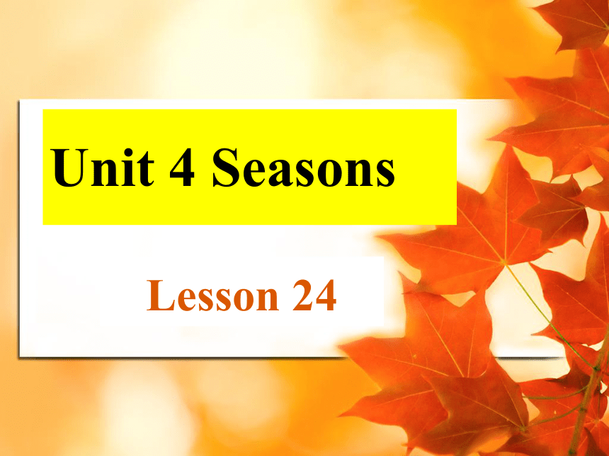 Unit 4 Seasons Lesson 24 课件