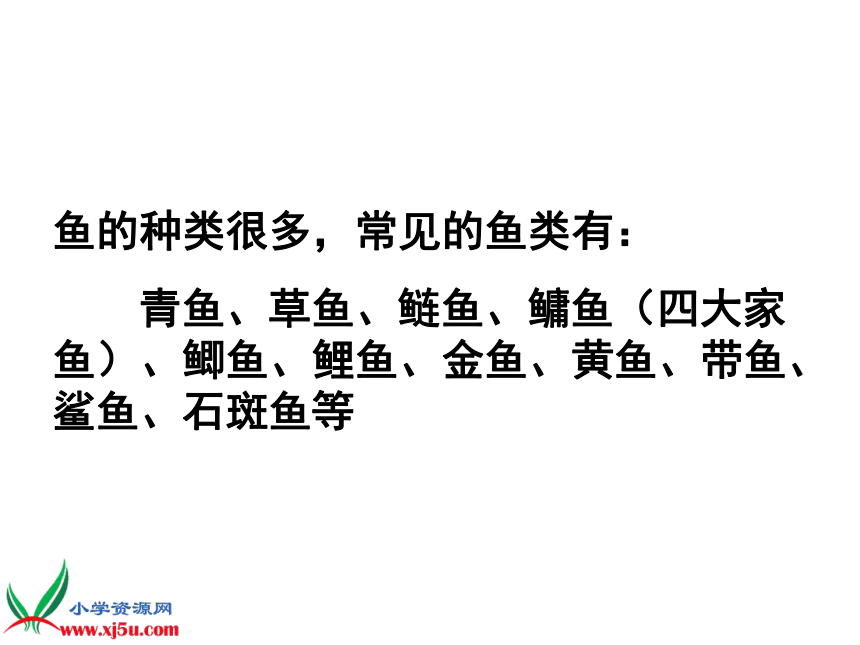 小学科学  湘教版  四年级上册  二 多种多样的动物  2 水族的公民 课件