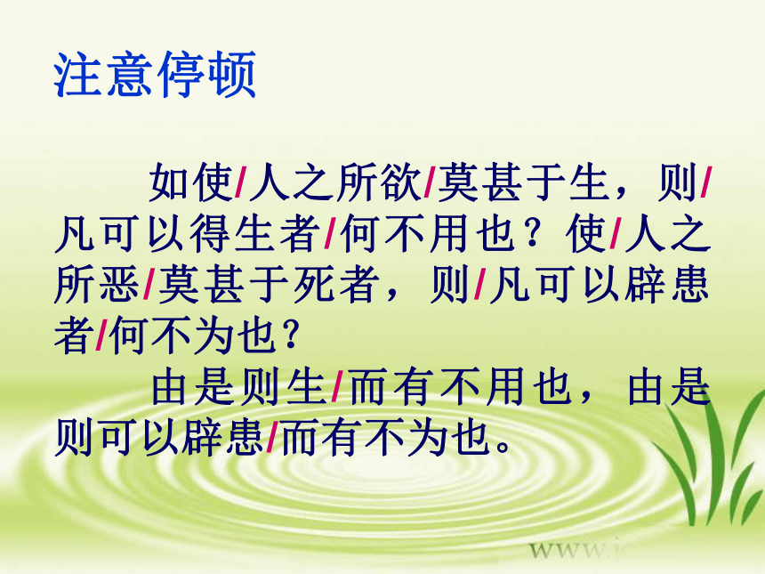 鱼我所欲也 课件