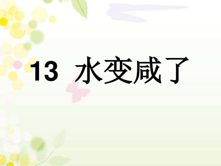 13、水变咸了 课件（13张PPT）