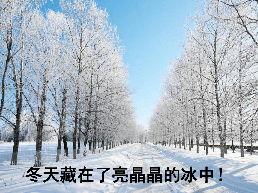 13美丽的冬天课件（74张幻灯片）