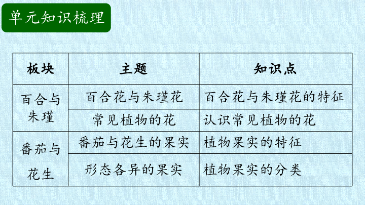 二年级上册科学课件第1单元身边的植物复习课件粤教版共15张ppt