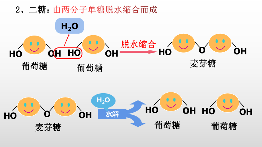 (2)构成细胞的某些物质或结构动物