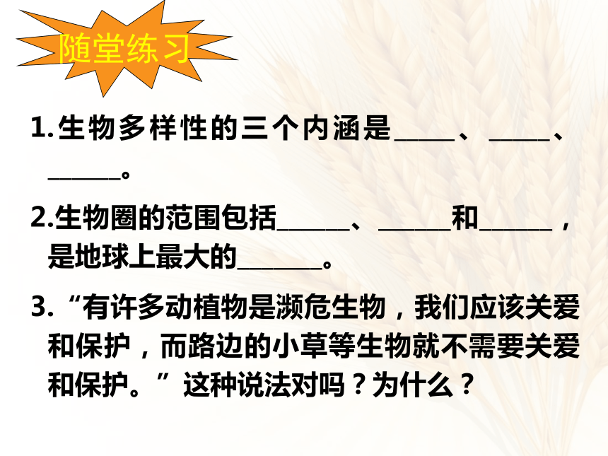 形形色色的生物 课件（共21张PPT）