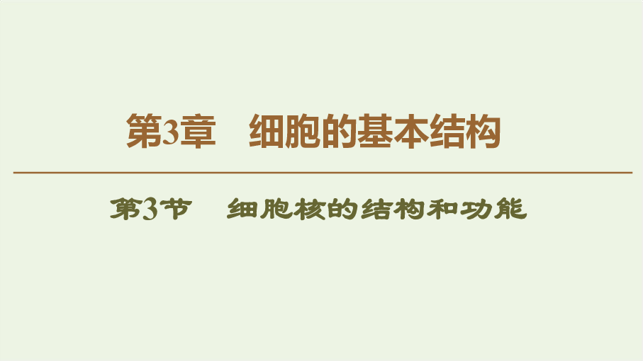 2019_2020年新教材高中生物第3章第3节细胞核的结构和功能课件新人教版必修1