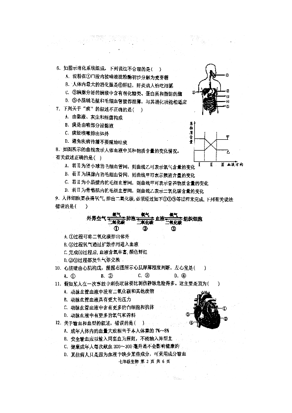 河北省唐山市滦南县2018-2019学年度第二学期七年级期末生物试卷（图片版）