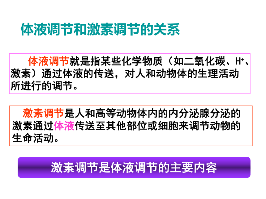 生物必修3第2章第3节高等动物的内分泌系统与体液调节 课件(共58张PPT)