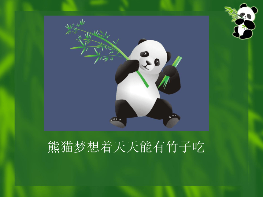 第1课 熊猫的梦——绘制图像与逐帧动画 课件