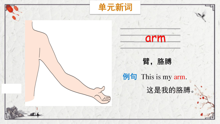 Unit 4 Body Lesson 1  This is my head课件（33张PPT)