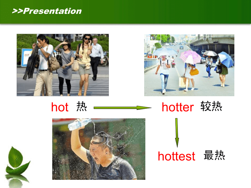 Unit 6 There are four seasons in a year Lesson 33 教学课件