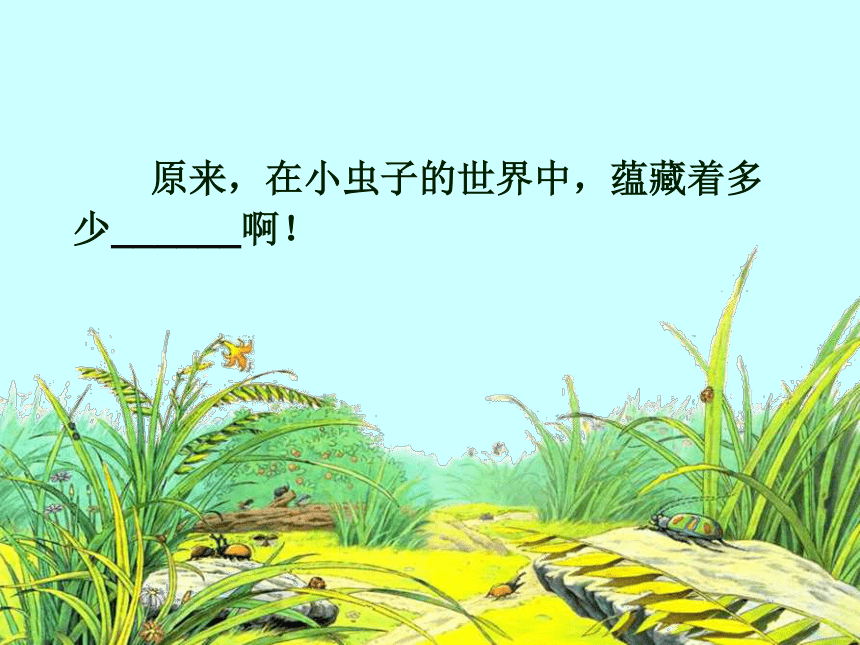 人教版六年级语文上册3《 草虫的村落》课件