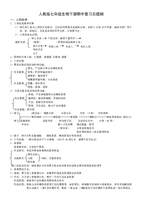 人教版七年级生物下册期中复习总提纲