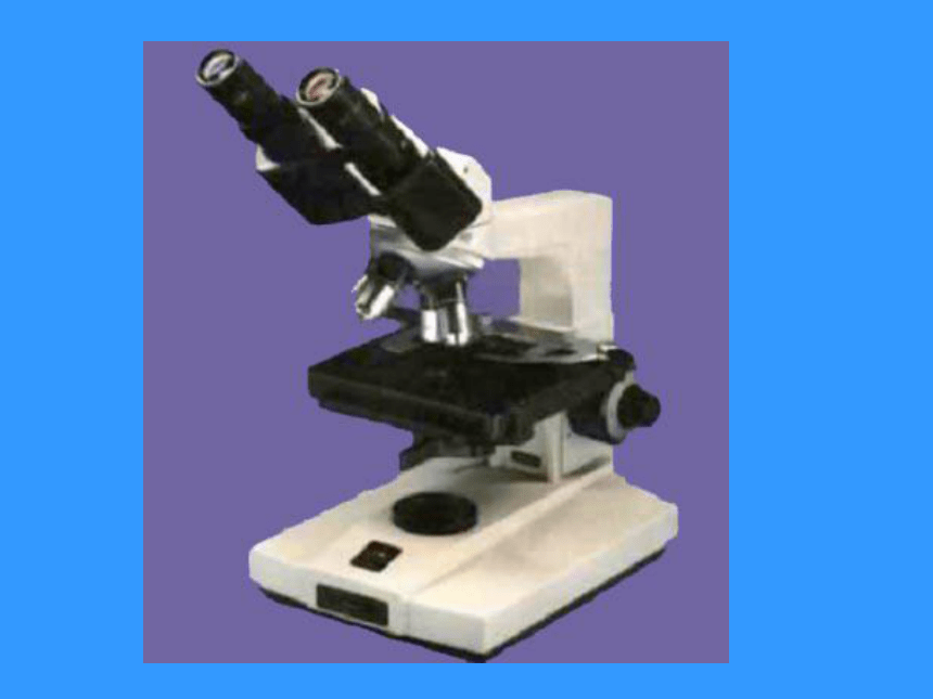 显微镜的使用以及有关实验