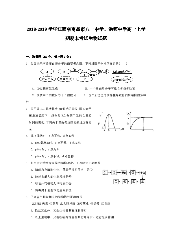 2018-2019学年江西省南昌市八一中学、洪都中学高一上学期期末考试生物试题
