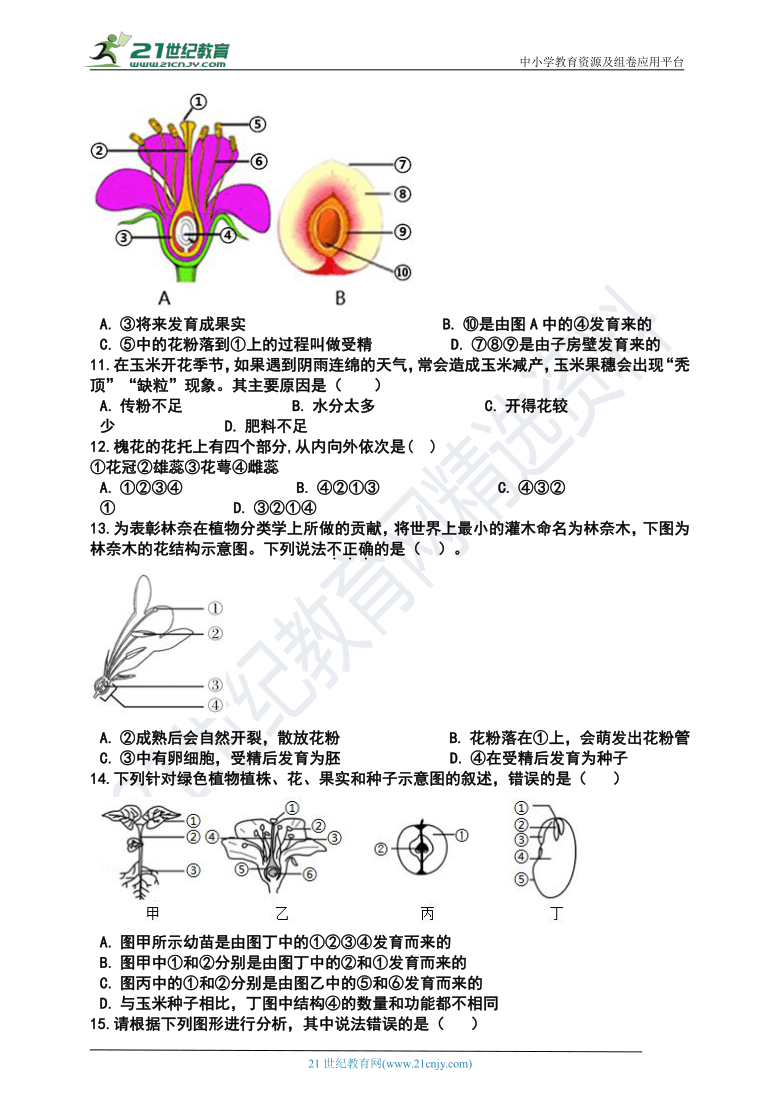 植物的开花和结果--2021年中考生物第二轮专题（三）绿色开花植物的一生知识自测+提升检测（含解析）